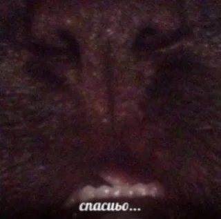 🙂