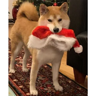 🎅