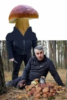 🍄