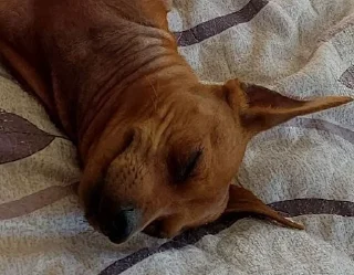 🙂