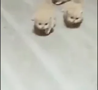 😁