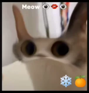 🤩
