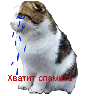 😭