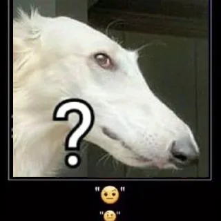 🧐