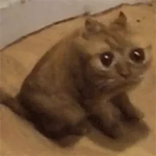 😢