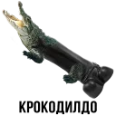 🐊