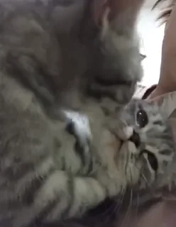 🥰