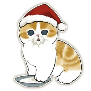 🐱