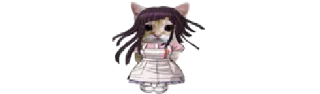 🐈