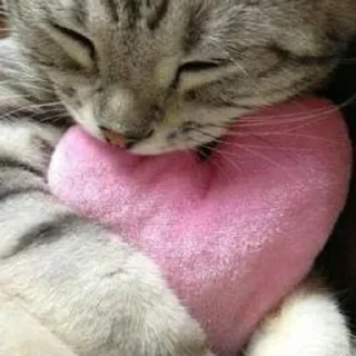 💗
