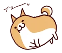 🐶