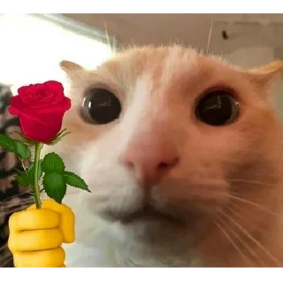 🌹