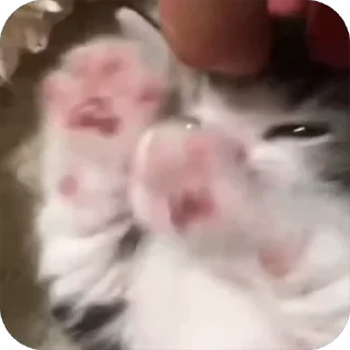 🥺