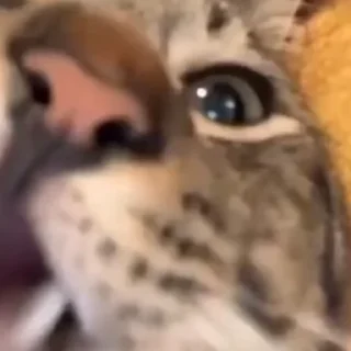 😏