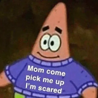🧽