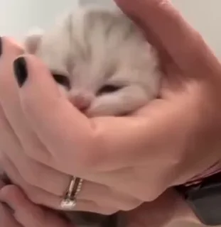 🥰