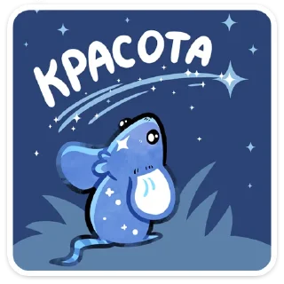 🤩