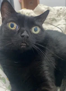 🤨