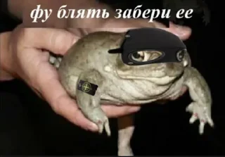 🤨