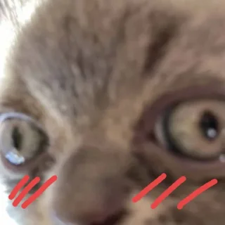 😳