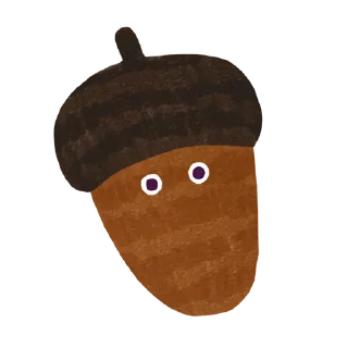 🌰
