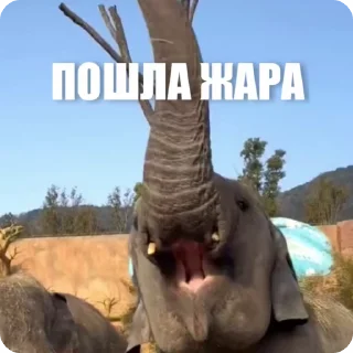 😃