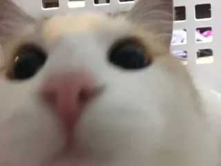 💒