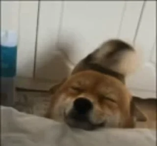🥰