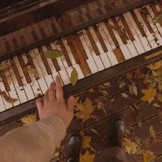 🍂