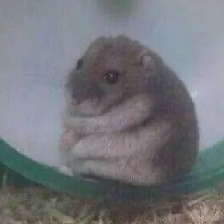 🥺