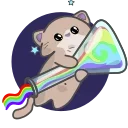 🌈