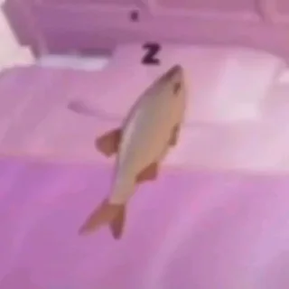 🤍