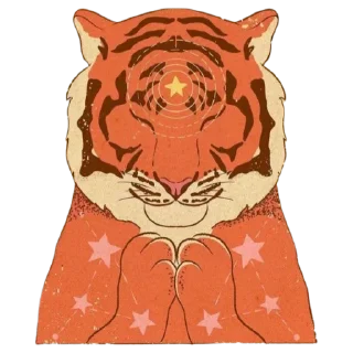 ✨
