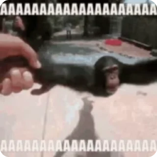 METSM0NKE стикеры :: @fStikBot