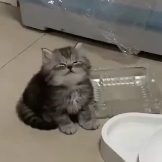 😞