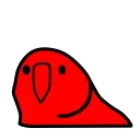 🐦