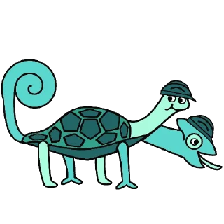 🐢