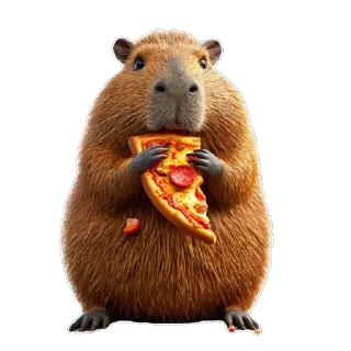 🍕