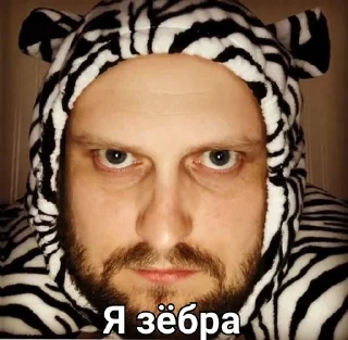 🦓