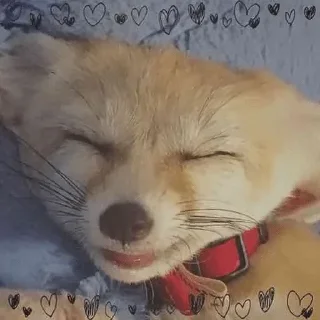 😄