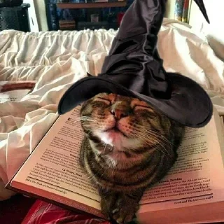 🧙‍♀️