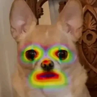 🤡