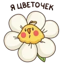 🌻
