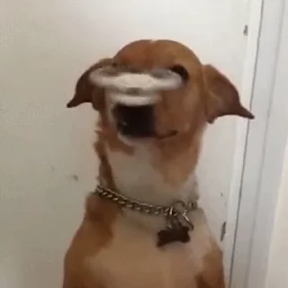 🤔