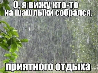 🧂