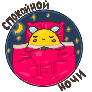 🌙