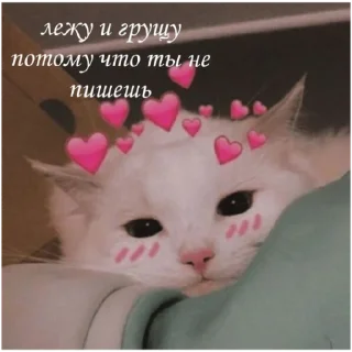 🥺