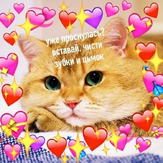 😘