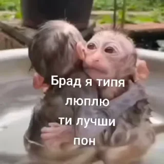 ❤️‍🔥