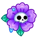 🌺
